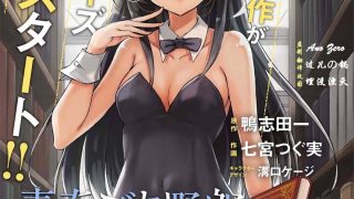 【青春期笨蛋不做兔女郎学姐的梦】漫画（完结） 百度网盘下载