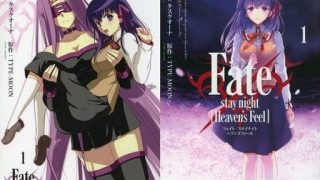 【Fate/stay night Heaven’s Feel】漫画（完结） 百度网盘下载