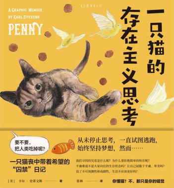 最近关于“一只猫的存在主义思考”的热门问题是什么？
