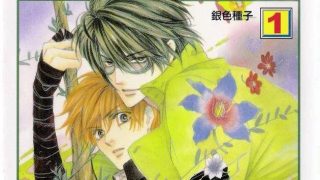【银色钻石】漫画（完结） 百度网盘下载